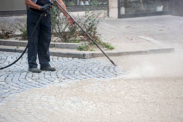 Best Sidewalk and Walkway Cleaning  in Lighthouse Point, FL